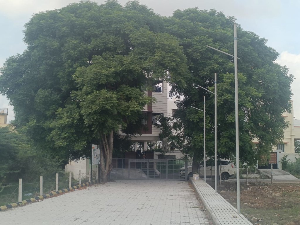  friends avenue Internal Roads