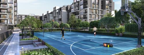  linore Basketball Court