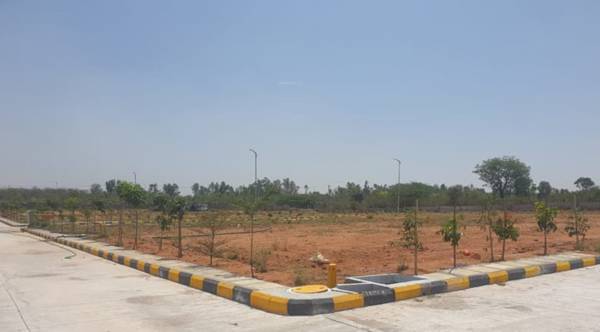 Elevation whistling-woods Elevation