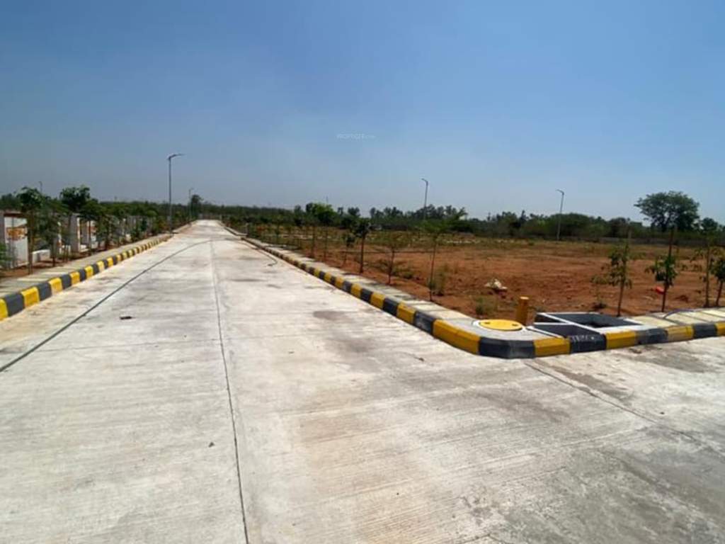  whistling woods Plot