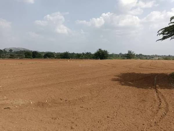 Elevation smartcity-developers-plots-in-ranjanpada Elevation