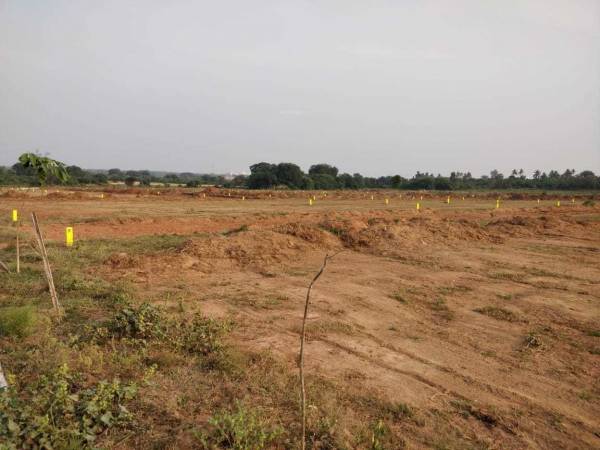  silver-stone-b-block Plot