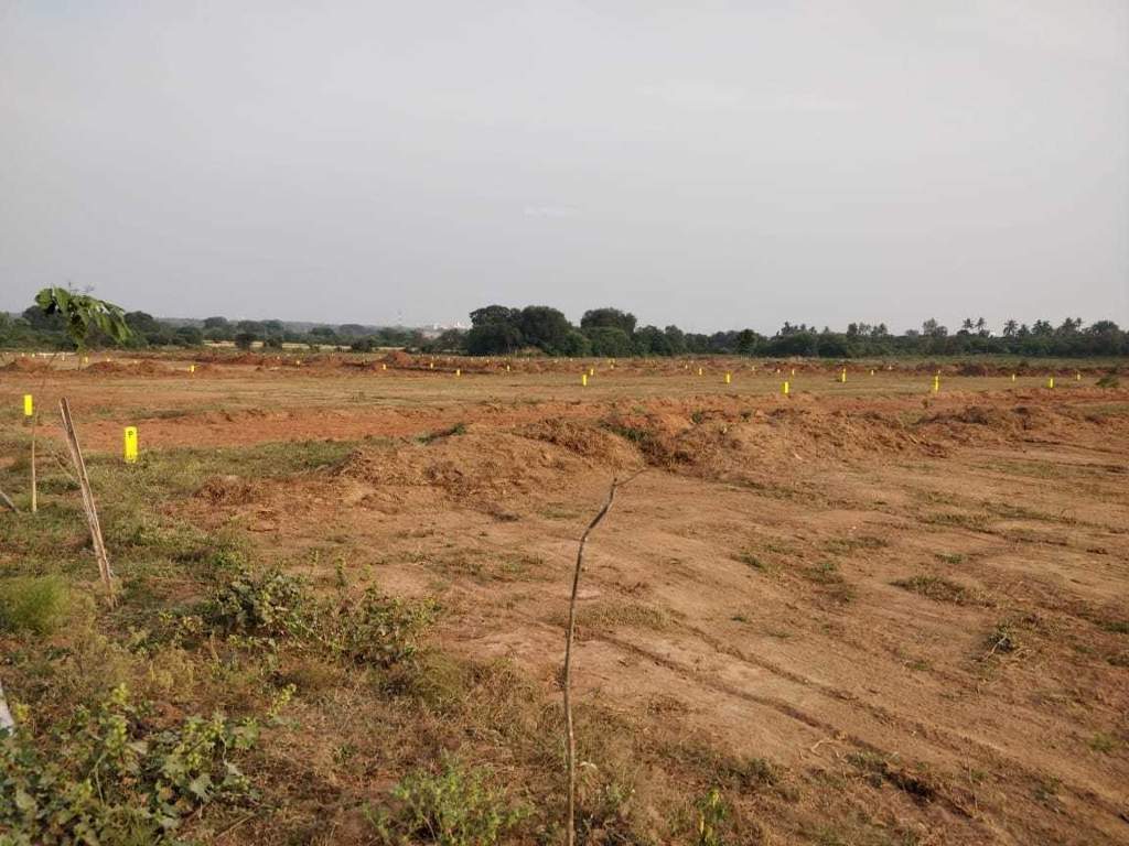  silver stone b block Plot