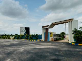 Project Image Project Image