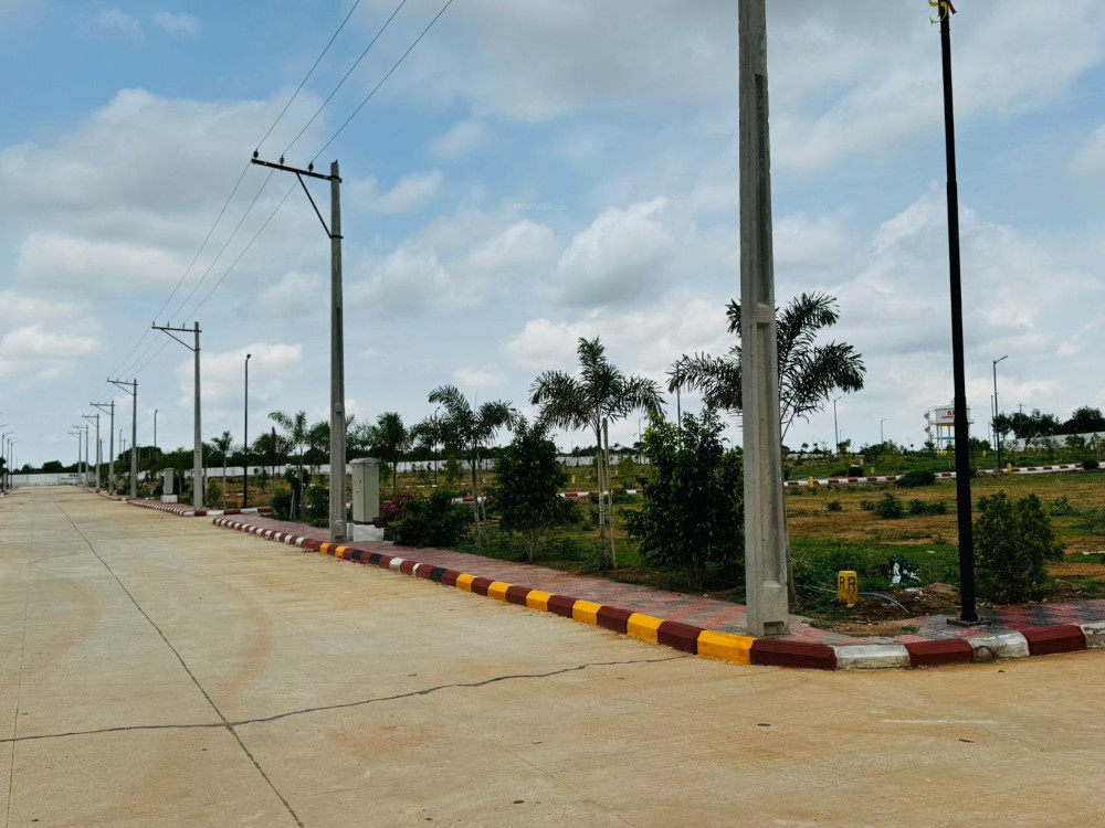  sr premium county Plot