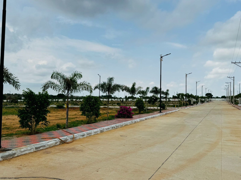  sr premium county Plot