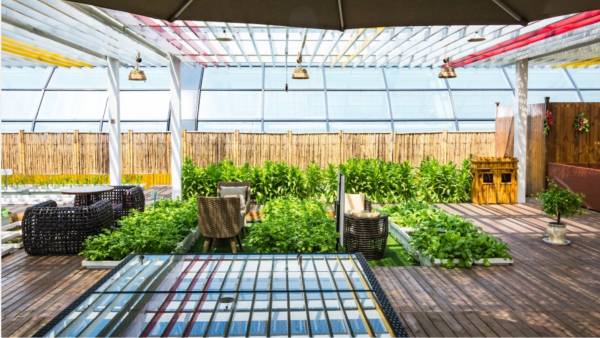  silicon-valley Others