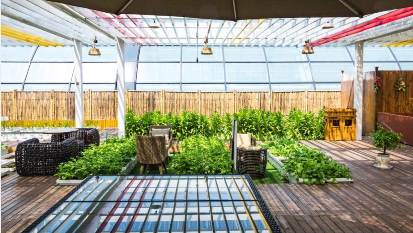  silicon valley Others