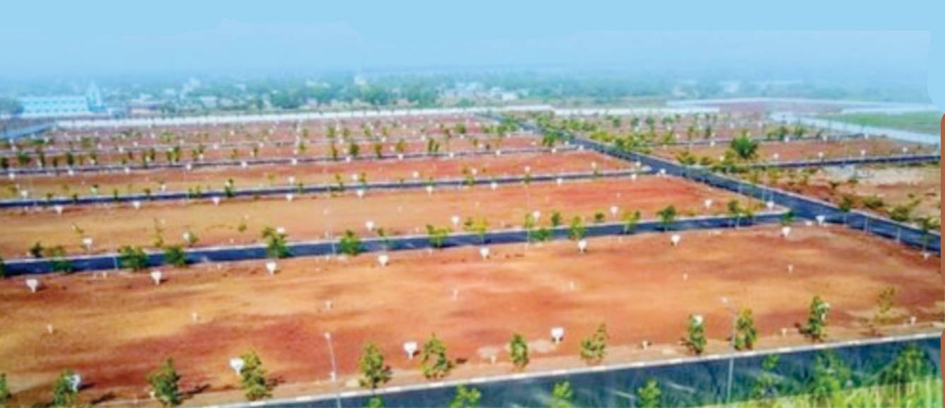 Elevation diamond city phase iii Elevation