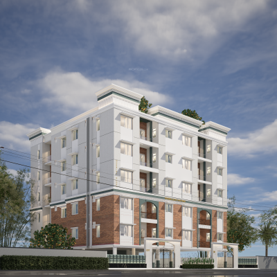 morning-glory Elevation Elevation