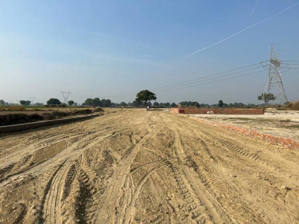  green-city Elevation