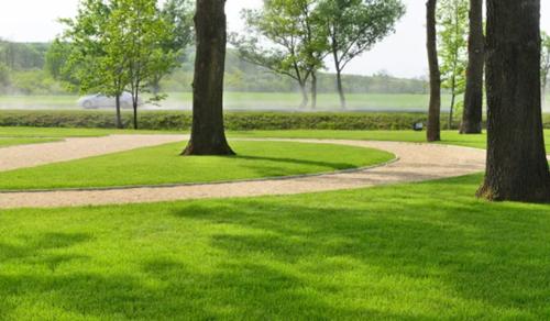 Landscape Garden and Tree Planting sapphire Landscape Garden and Tree Planting