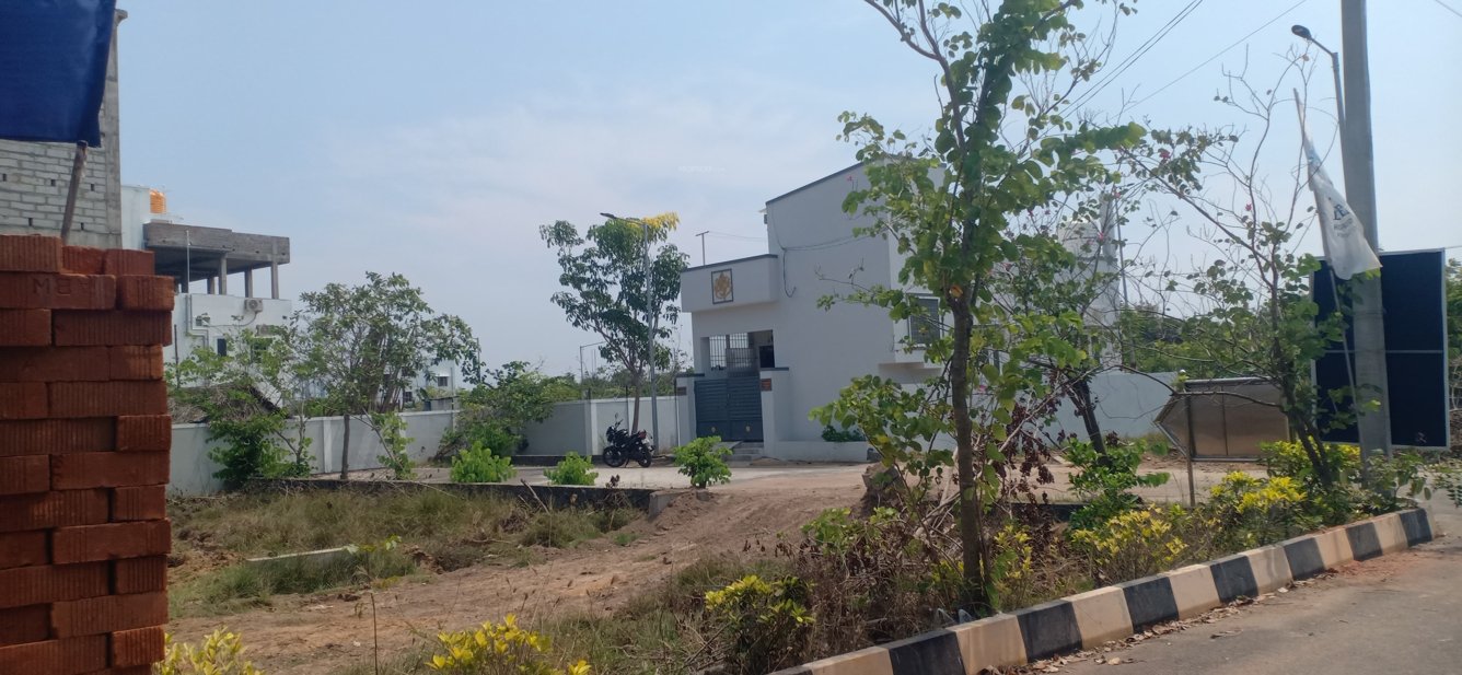  blooming garden Plot