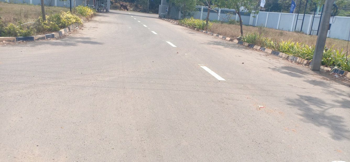  blooming garden Plot