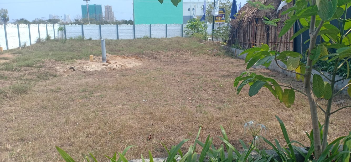  blooming garden Plot