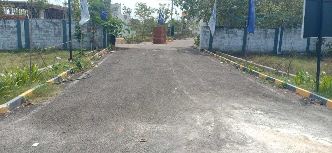  blooming garden Plot