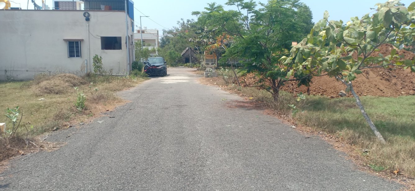  blooming garden Plot