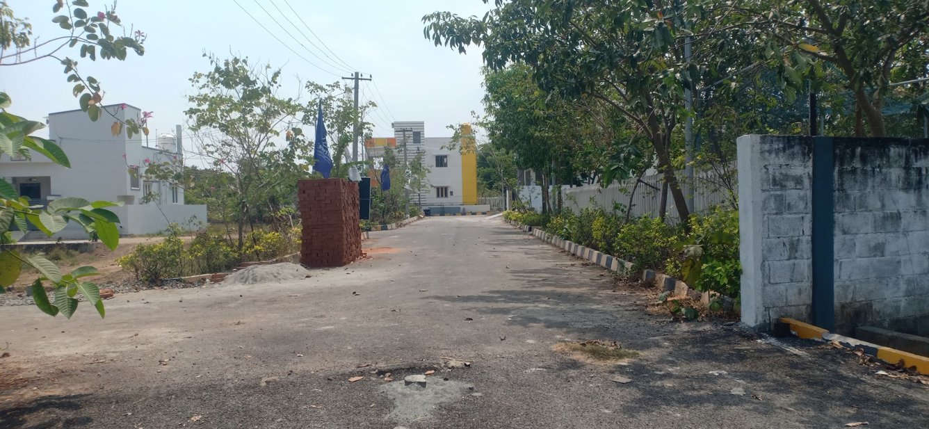  blooming garden Plot