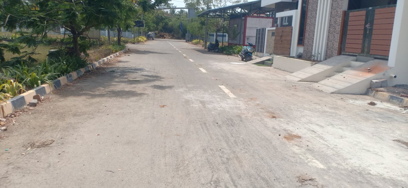  blooming garden Plot