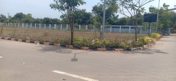  blooming-garden Plot