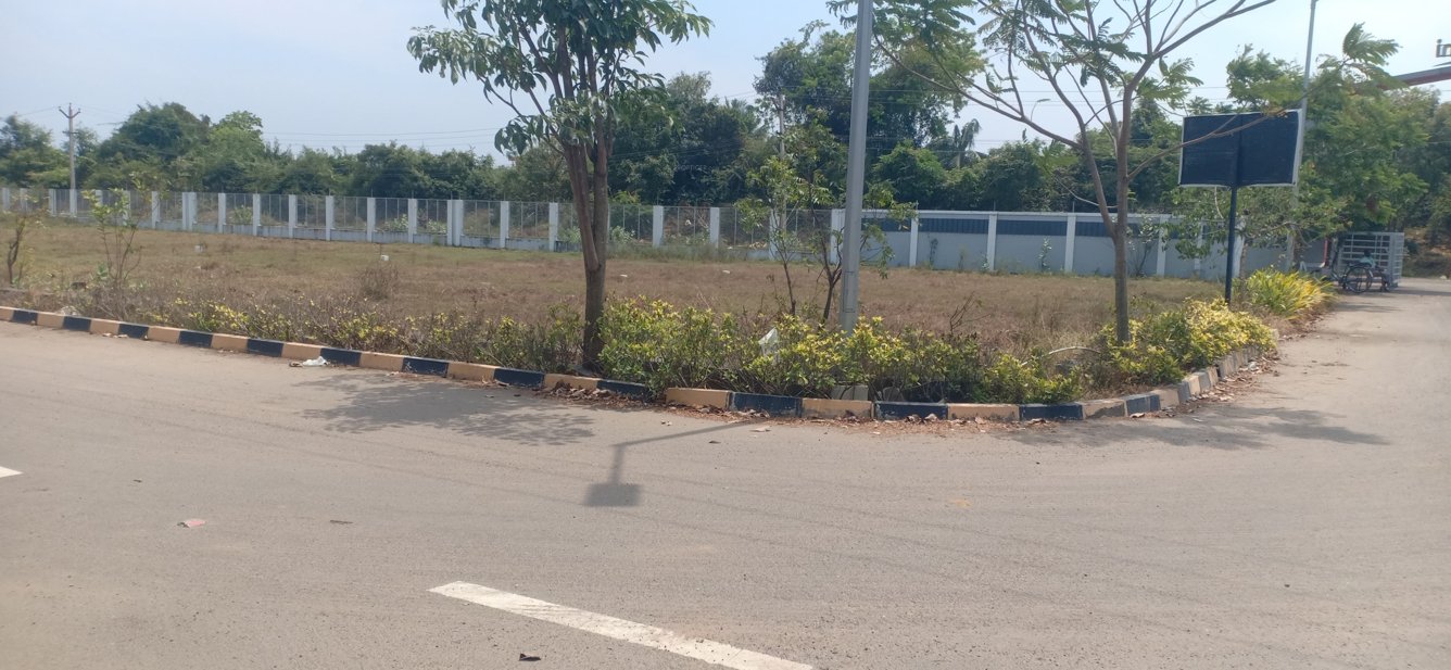  blooming garden Plot