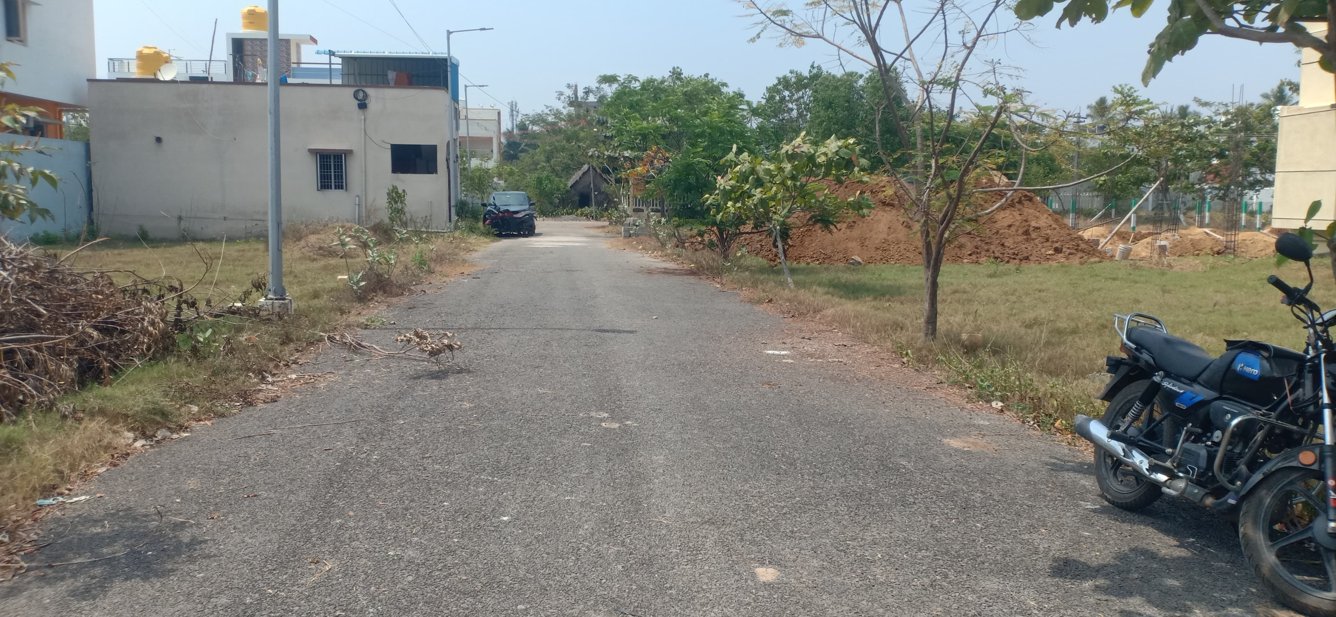  blooming garden Plot