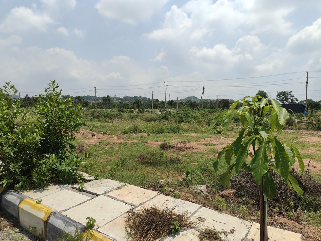  vihanga phase 2 Plot