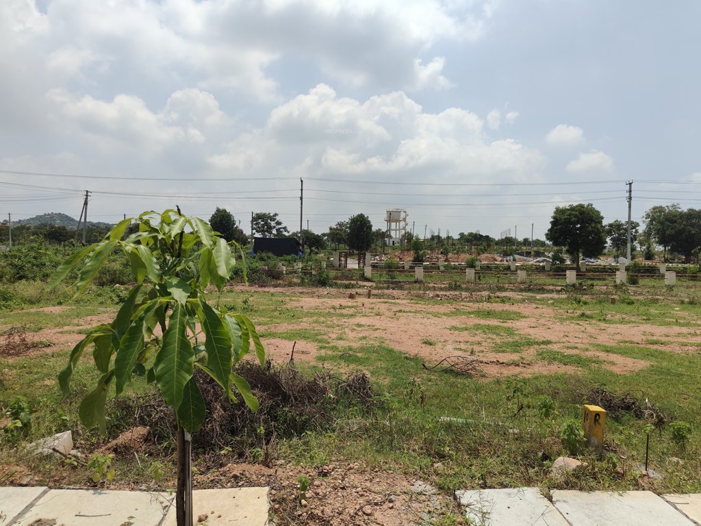  vihanga phase 2 Plot
