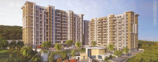 aria-phase-2 Elevation Elevation