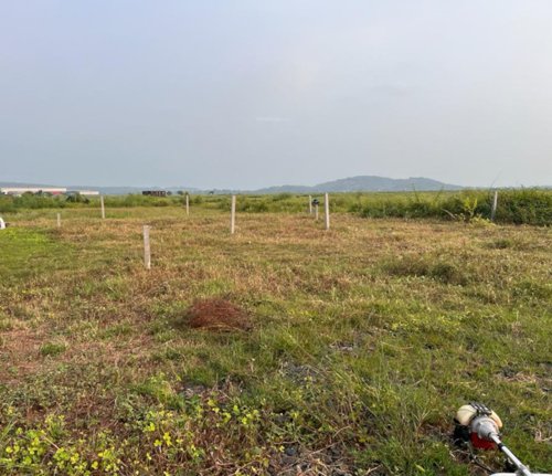  high-vision-plots-in-panvel-near-mumbai-trans-harbour-link-bridge Plot