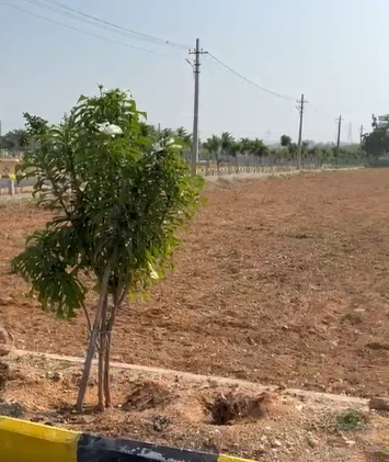  diamond pharma city Plot