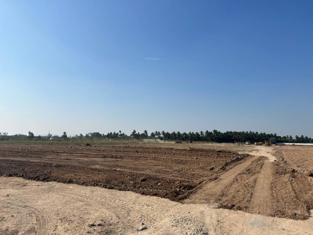 opal garden Elevation