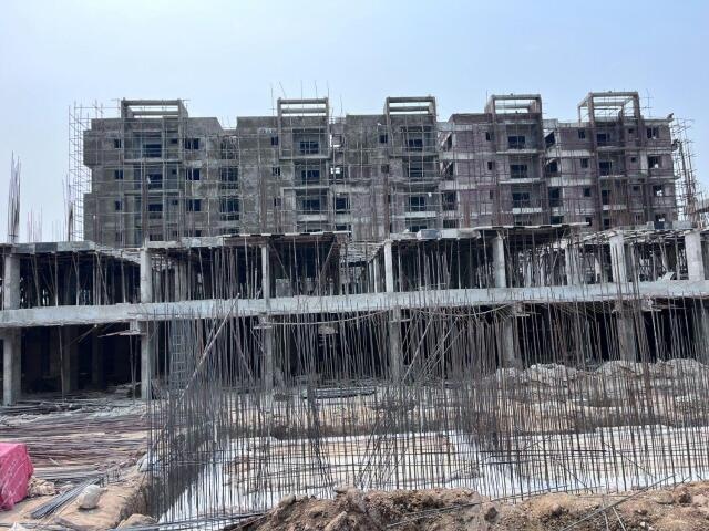 Sunshine Green Meadows