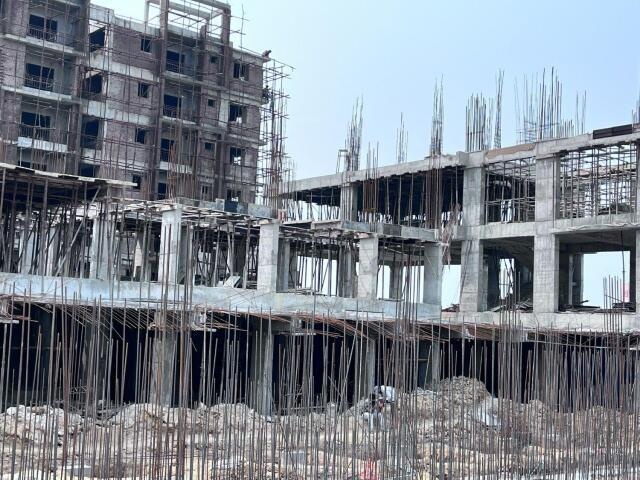 Sunshine Green Meadows