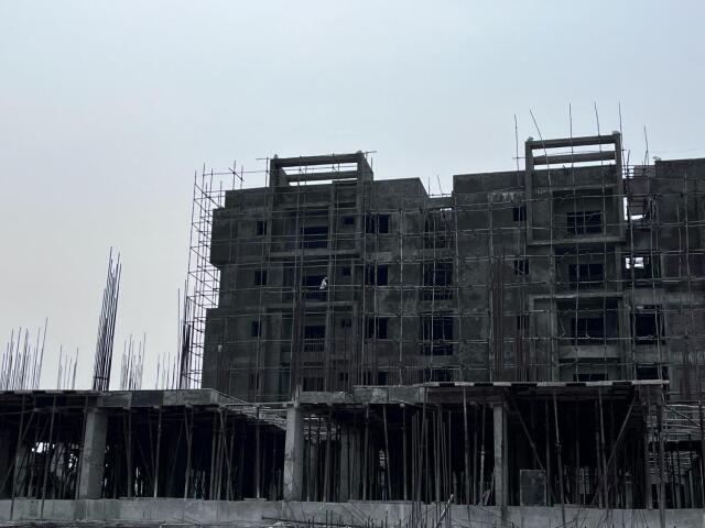 Sunshine Green Meadows