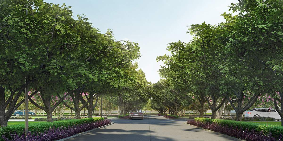  forest estate Others