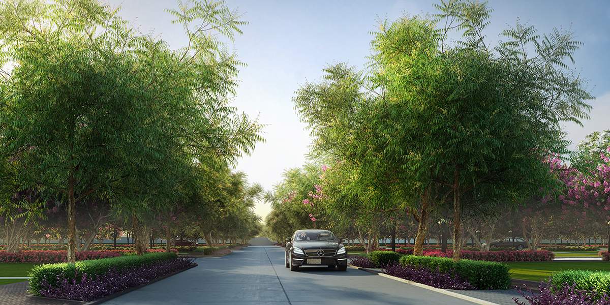  forest estate Others