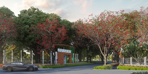  forest-estate Others