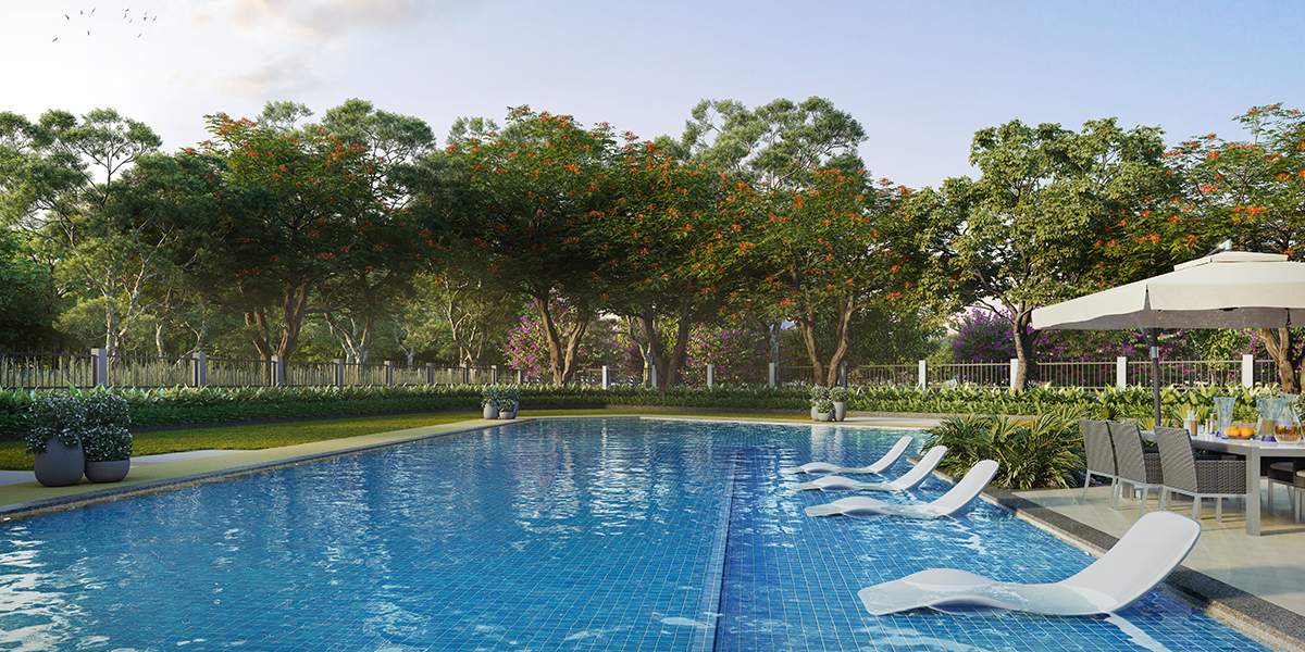  forest estate Swimming Pool