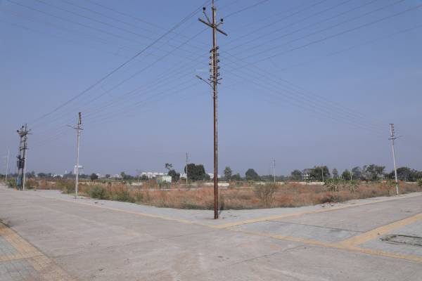  unique-city-2 Elevation