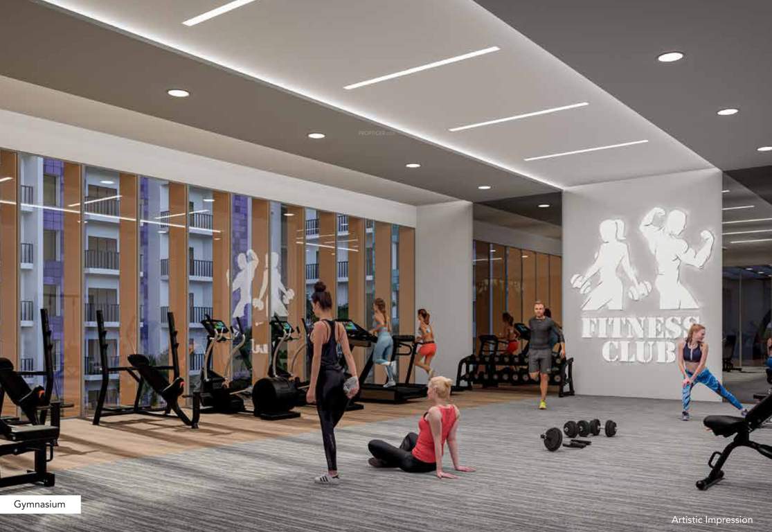  kohinoor viva pixel phase 2 Gymnasium