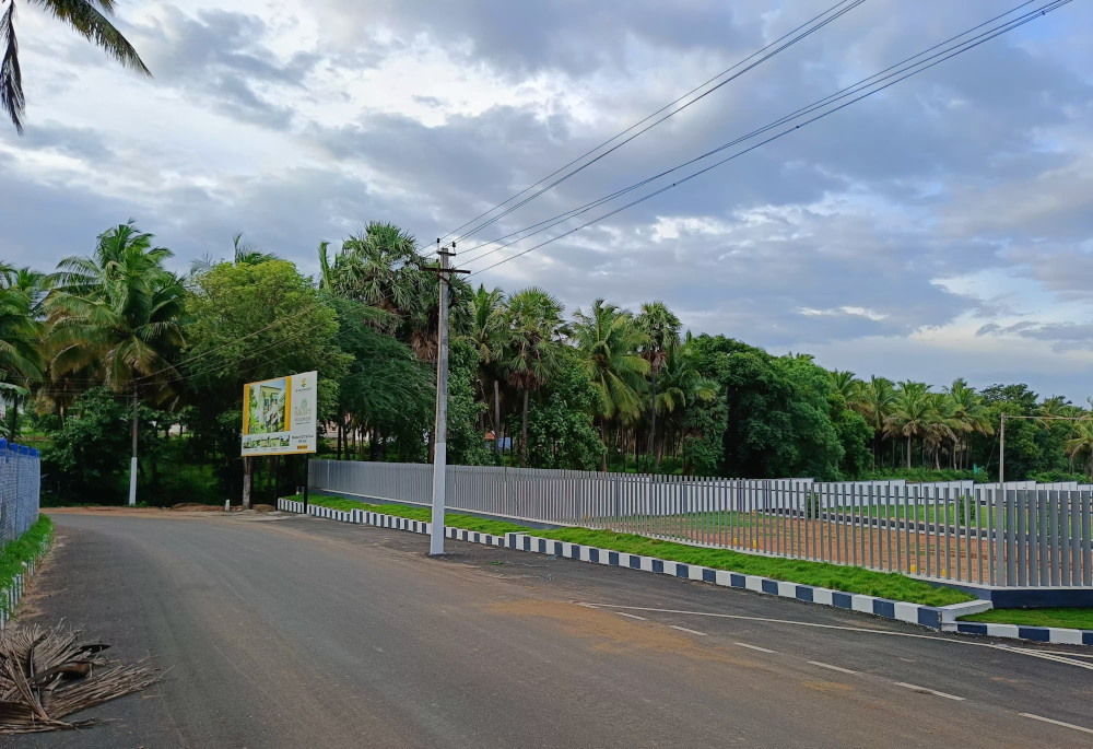  vishakha oak tree Elevation