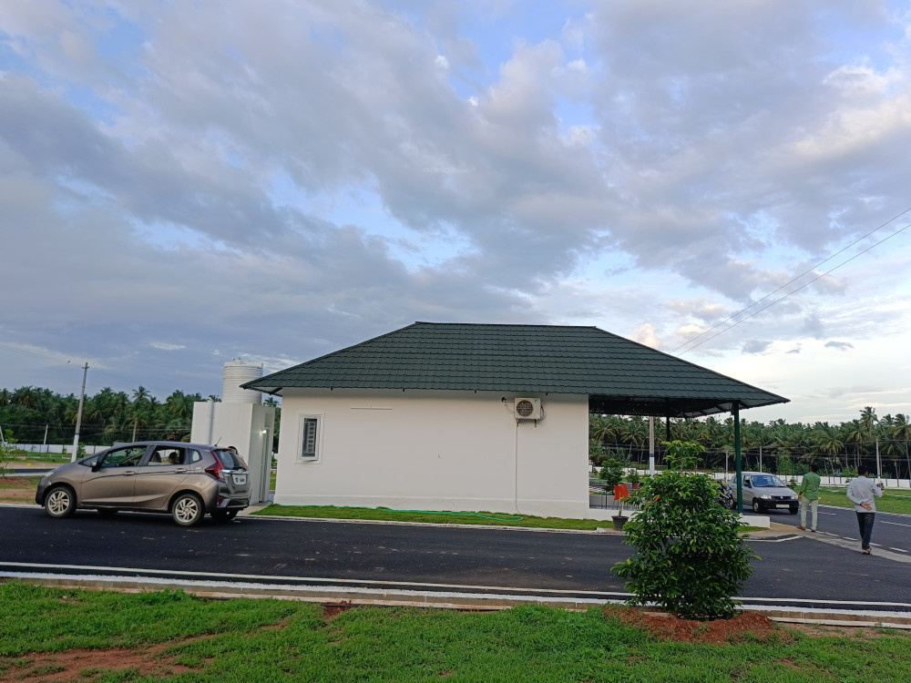  vishakha oak tree Elevation