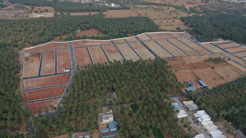  vishakha oak tree Elevation