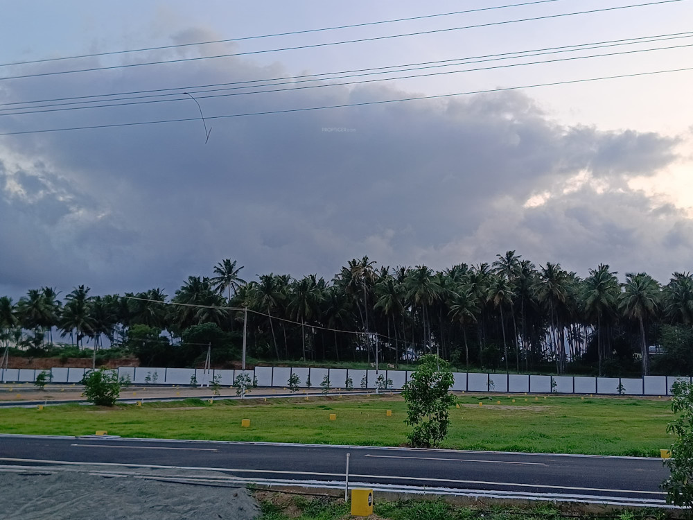  vishakha oak tree Elevation