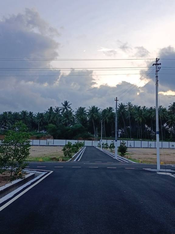  vishakha oak tree Elevation