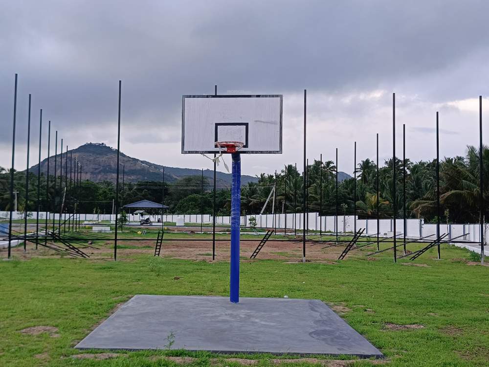  vishakha oak tree Basketball Court