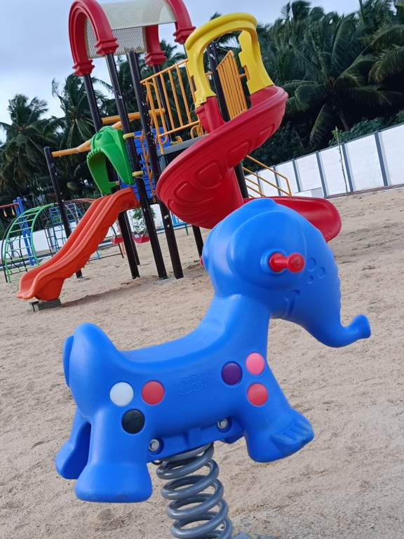  vishakha oak tree Children's play area