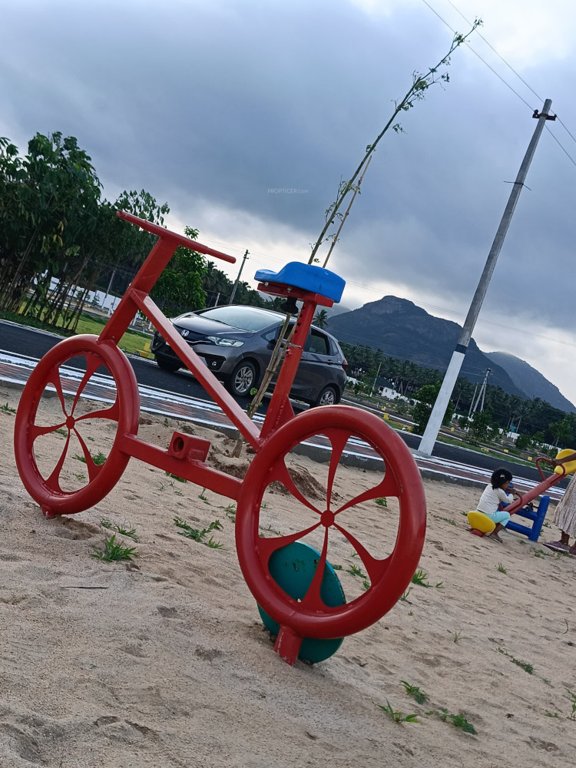  vishakha oak tree Children's play area