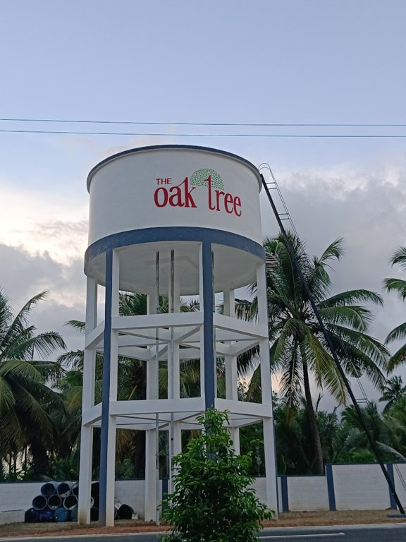  vishakha oak tree Others